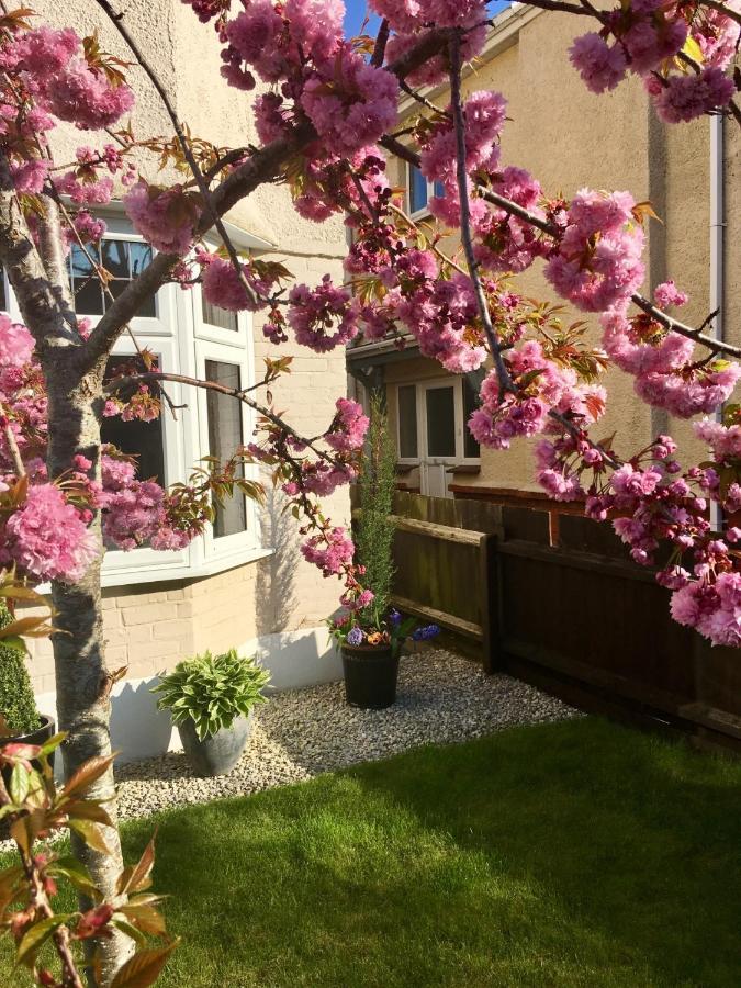 לינה וארוחת בוקר בורנמות' Cherry Tree House מראה חיצוני תמונה